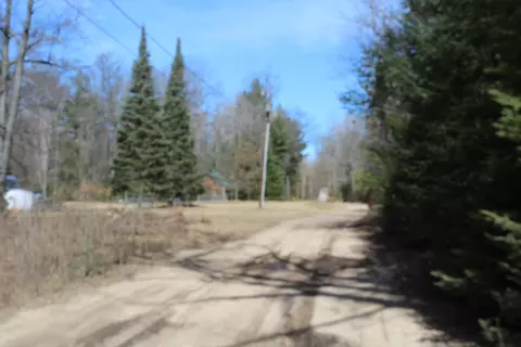 199 S Gerber Rd, Mio, MI 48647 photo 10