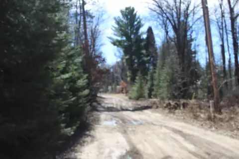 199 S Gerber Rd, Mio, MI 48647 photo 11