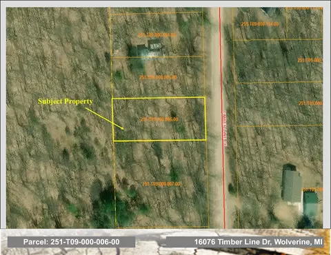 16076 Timber Line Dr, Wolverine, MI 49799 photo 6