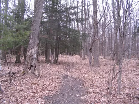 6533 S King Road Grayling Mi 49738 Rd, Grayling, MI 49738 photo 3