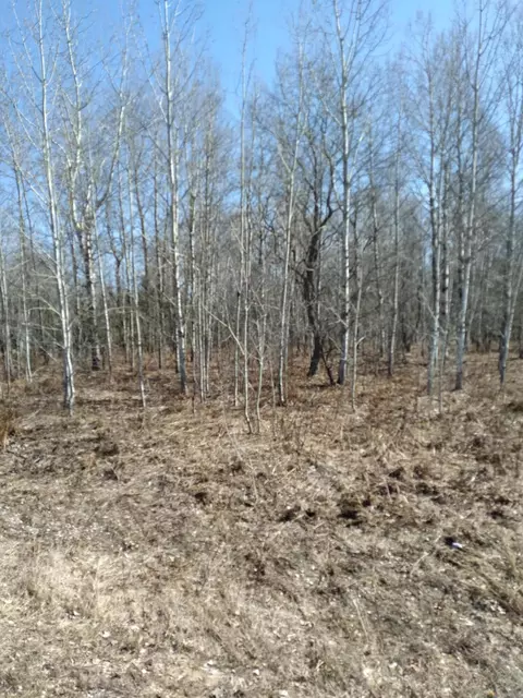 lot587 Wildwood Dr, Elmira, MI 49730