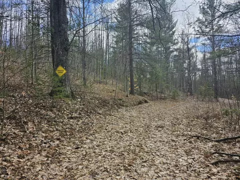 7033 W Batterson Rd, Frederic, MI 49733