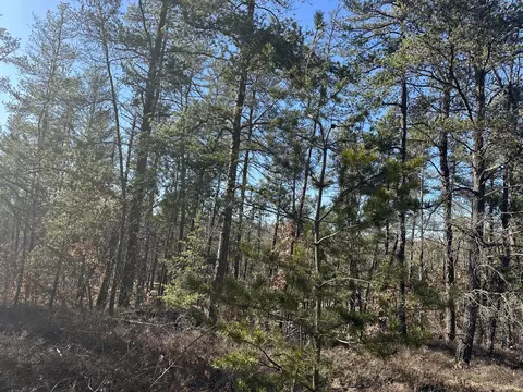 Wilderness Trail, Grayling, MI 49738 photo 14