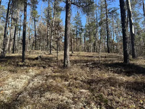 Wilderness Trail, Grayling, MI 49738 photo 6