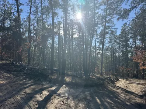 Wilderness Trail, Grayling, MI 49738 photo 7