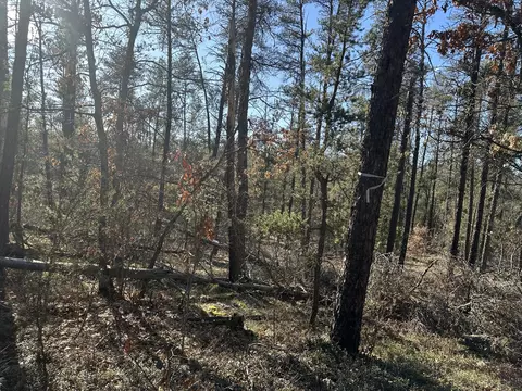 Wilderness Trail, Grayling, MI 49738 photo 4