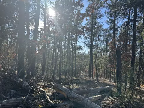 Wilderness Trail, Grayling, MI 49738