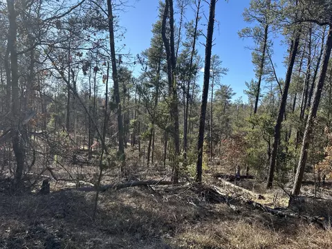 Wilderness Trail, Grayling, MI 49738 photo 10