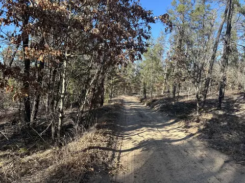 Wilderness Trail, Grayling, MI 49738 photo 11