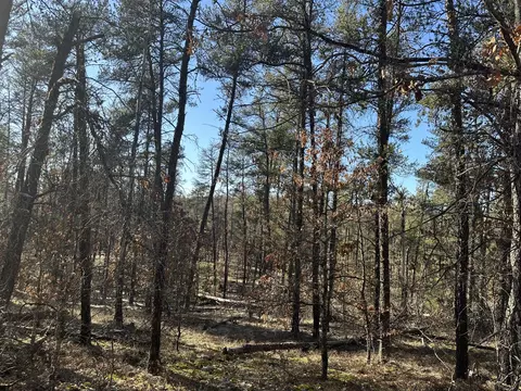 Wilderness Trail, Grayling, MI 49738 photo 13