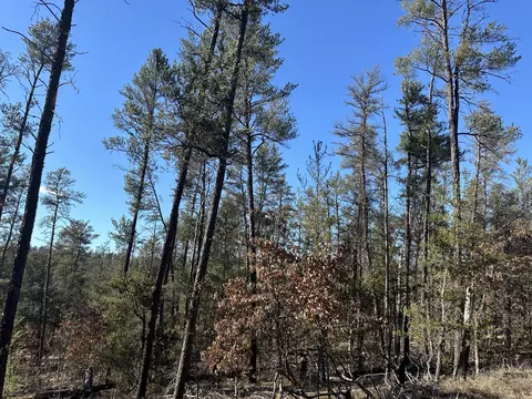 Wilderness Trail, Grayling, MI 49738 photo 8