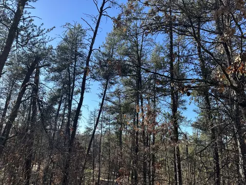 Wilderness Trail, Grayling, MI 49738 photo 12