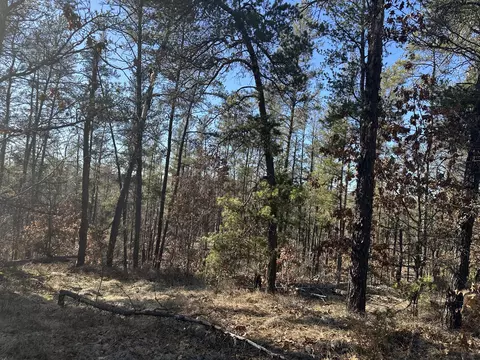 Wilderness Trail, Grayling, MI 49738 photo 15
