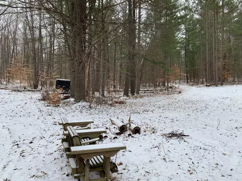 7932 E Sturgeon Valley Rd, Vanderbilt, MI 49795 photo 27