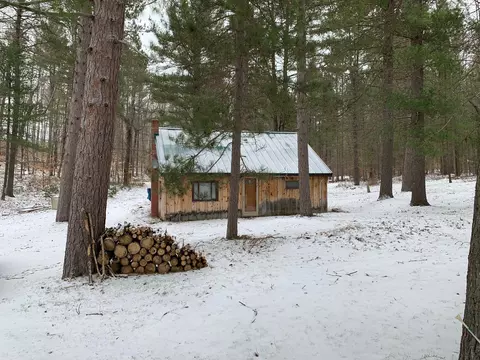7932 E Sturgeon Valley Rd, Vanderbilt, MI 49795 photo 34