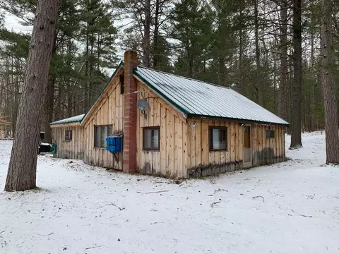 7932 E Sturgeon Valley Rd, Vanderbilt, MI 49795