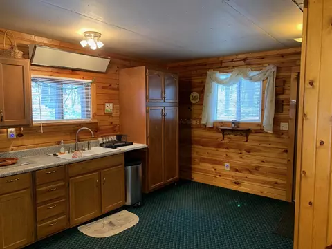 7932 E Sturgeon Valley Rd, Vanderbilt, MI 49795 photo 18
