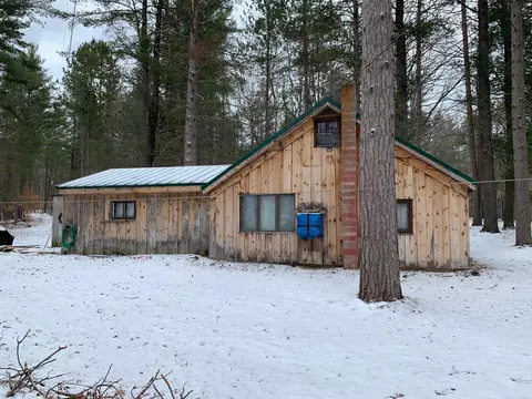 7932 E Sturgeon Valley Rd, Vanderbilt, MI 49795 photo 23