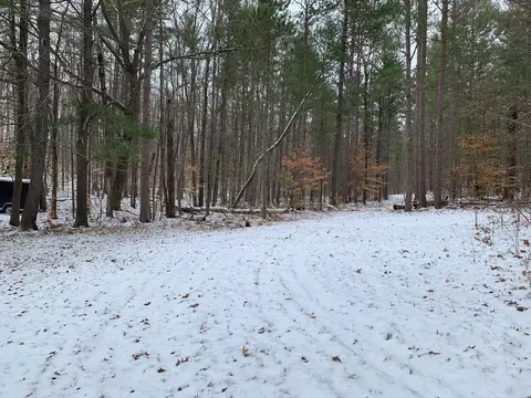 7932 E Sturgeon Valley Rd, Vanderbilt, MI 49795 photo 28