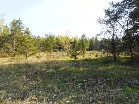 265 269 Lake Winyah Road Alpena Mi 49707 Rd, Alpena, MI 49707