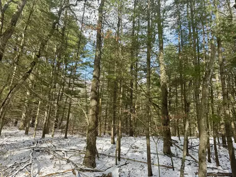 5434 S Mt Tom Rd, Rose City, MI 48654