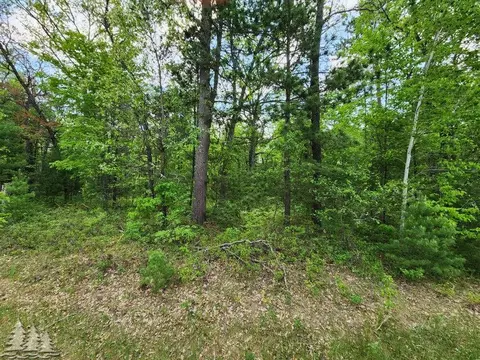 lot53 Tee Lake Woods Road Lewiston Mi 49756 Rd, Lewiston, MI 49756