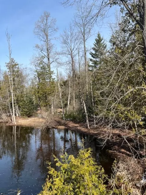 Klee Road, Rogers City, MI 49779