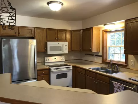 7735 Lagoon Dr, Alanson, MI 49706 photo 16