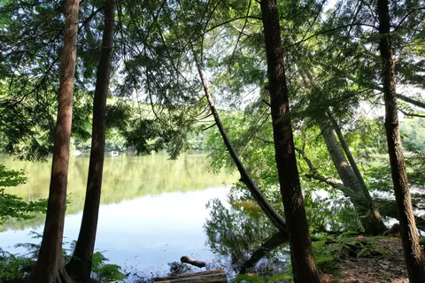 11 Hlywa Dr #LOT 11, Gaylord, MI 49735