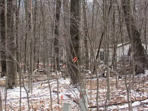 lot62 Maplewood, Roscommon, MI 48653