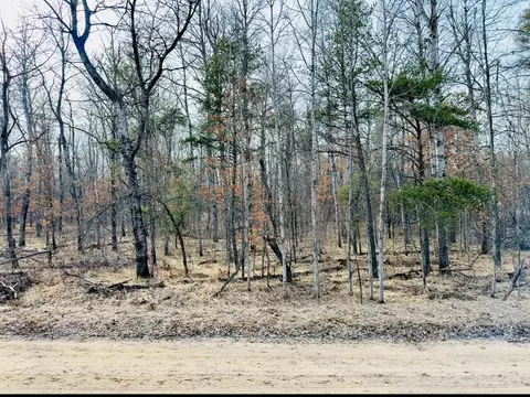 10768 W Forest Way, Roscommon, MI 48653