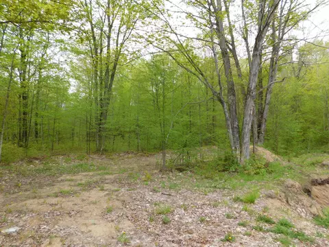 8622 Northland Drive Frederic Mi 49733 Dr, Frederic, MI 49733 photo 4