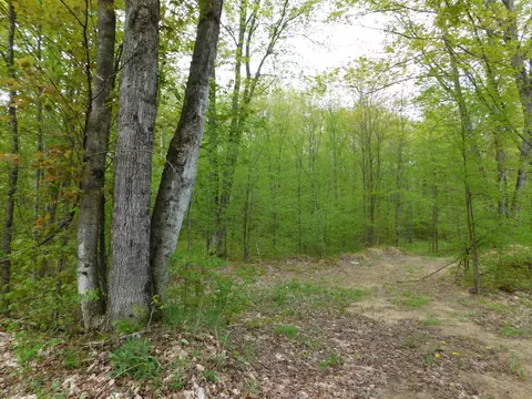 8622 Northland Drive Frederic Mi 49733 Dr, Frederic, MI 49733