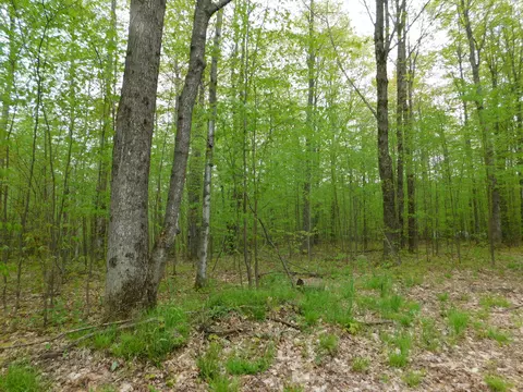 8622 Northland Drive Frederic Mi 49733 Dr, Frederic, MI 49733 photo 7