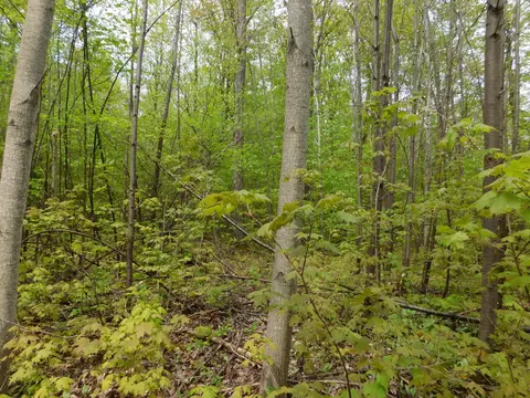 8622 Northland Drive Frederic Mi 49733 Dr, Frederic, MI 49733 photo 2