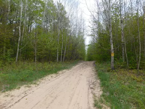 8622 Northland Drive Frederic Mi 49733 Dr, Frederic, MI 49733 photo 15