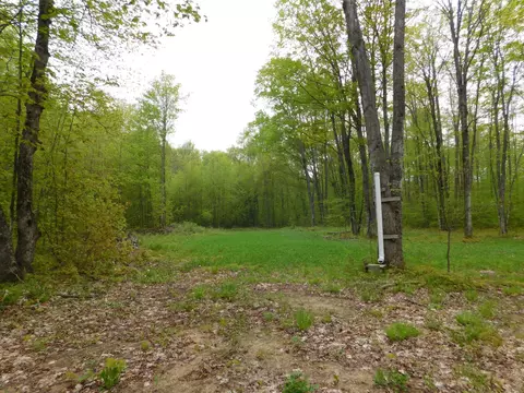 8622 Northland Drive Frederic Mi 49733 Dr, Frederic, MI 49733 photo 10