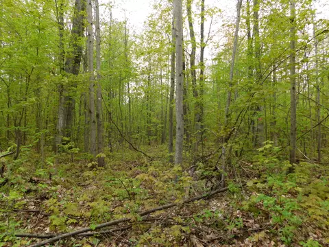 8622 Northland Drive Frederic Mi 49733 Dr, Frederic, MI 49733 photo 13