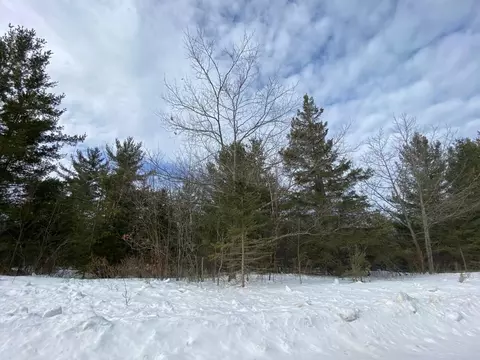 lot163 Pineview Dr, Presque Isle, MI 49777