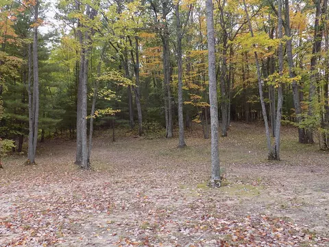 Sorensen Road, Hillman, MI 49746