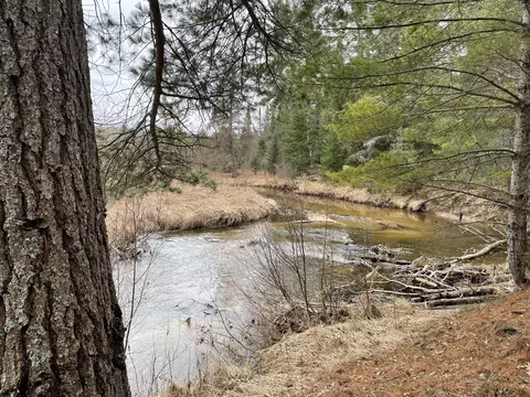Spikehorn Trail, Indian River, MI 49749