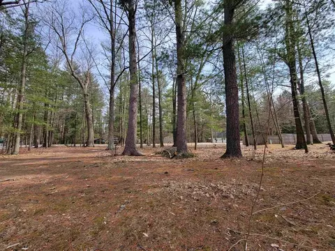 Vl Maple Point Road, Beaverton, MI 48612 photo 3