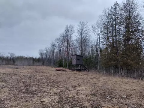 Bolton Road, Posen, MI 49776