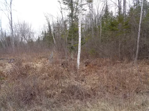 128 Custer Rd, Alpena, MI 49707
