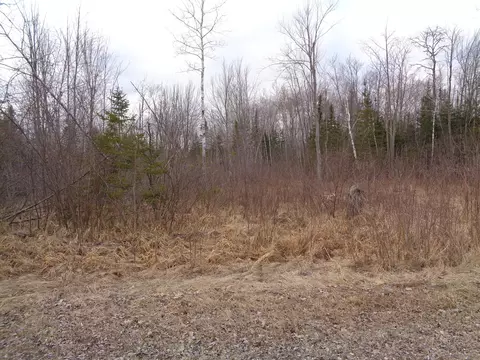 130 Custer Road Alpena Mi 49707, Alpena, MI 49707