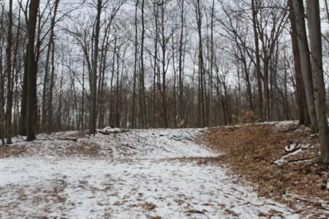 Rogers Road, Fairview, MI 48621 photo 5