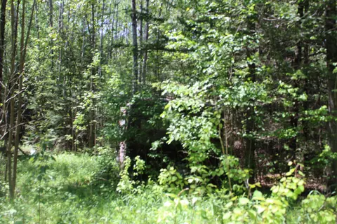W Cherry Creek Road, Mio, MI 48647
