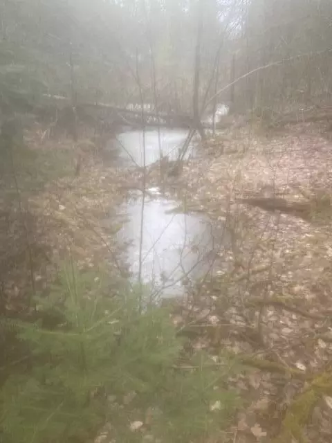 Twin Peaks Road, Frederic, MI 49733