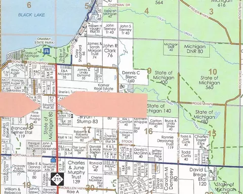 0 Ff M-211 Parcel B Onaway Mi 49765 #PARCEL B, Onaway, MI 49765
