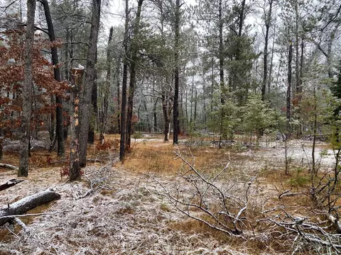 29 Acres Van Trail Marion Mi 49665, Marion, MI 49665